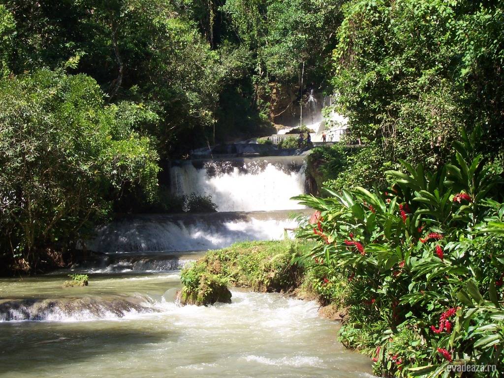 Jamaica - Ocho Rios | 6